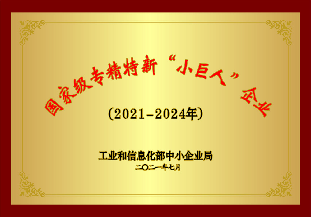 國家級專精特新“小巨人”企業(yè)